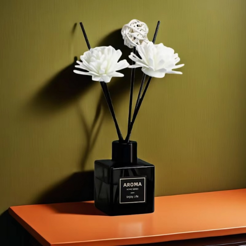 diffuseur aromaplus pour maison