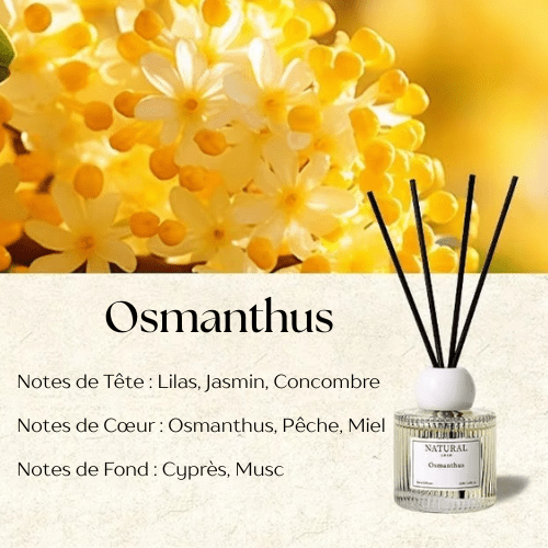 Diffuseur de Parfum à Roseaux - Mon Repos Mérité