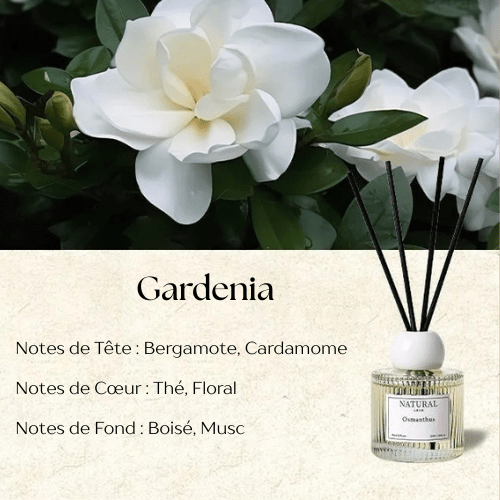 Diffuseur de Parfum à Roseaux - Mon Repos Mérité