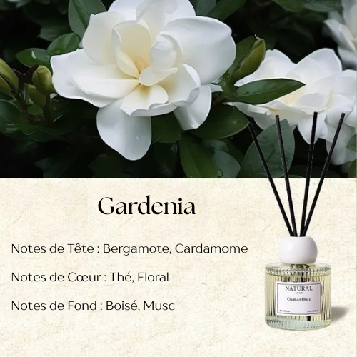 Diffuseur de Parfum à Roseaux gardenia