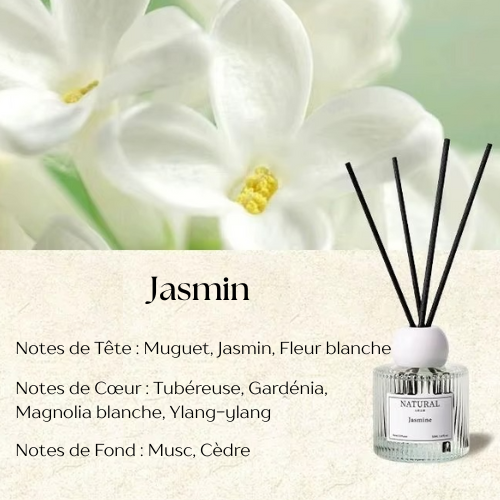 Diffuseur de Parfum à Roseaux jasmin