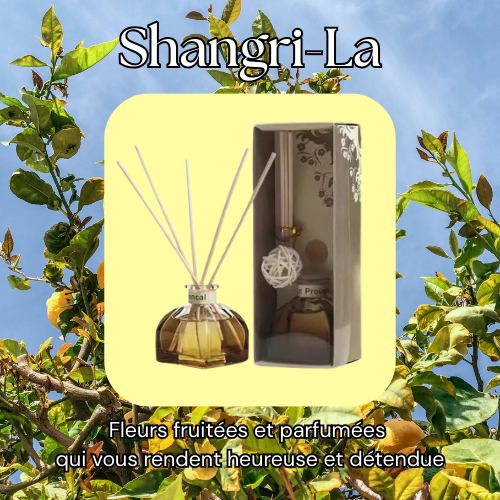 diffuseur de parfum aromathérapie shangri-la