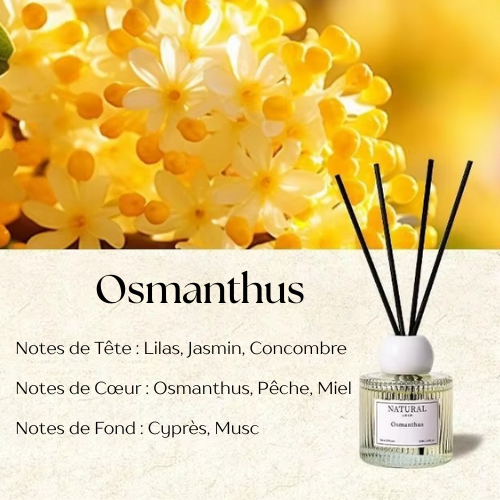 Diffuseur de Parfum à Roseaux osmanthus