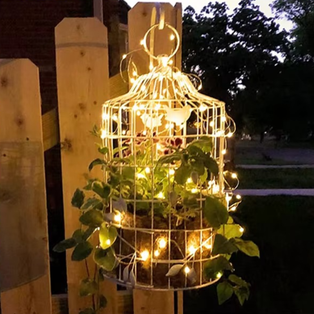 guirlande lumineuse apaisante dans une cage à oiseaux