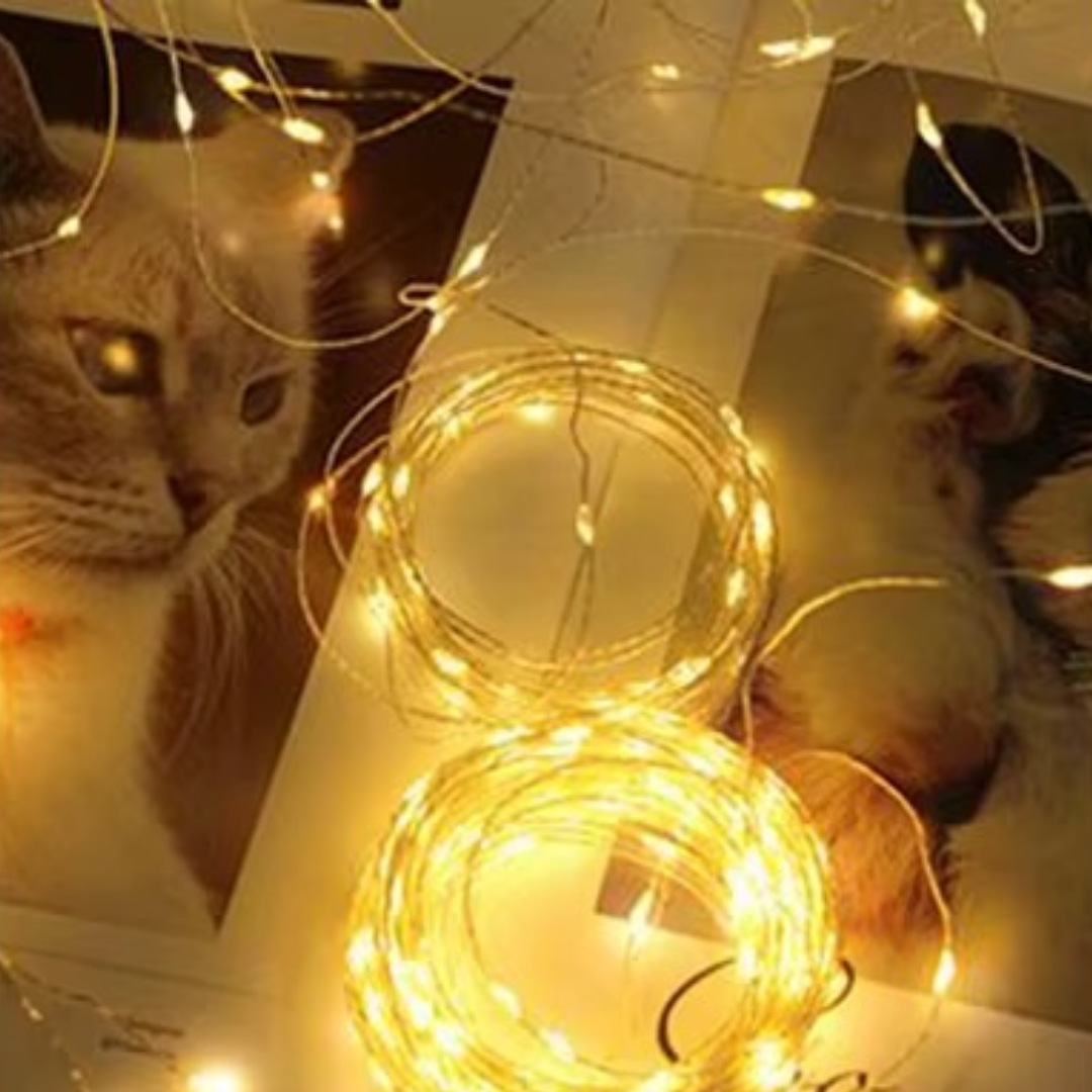 guirlande lumineuse apaisante enroulée sur une table