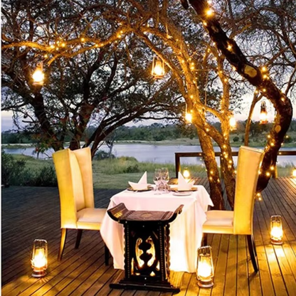 guirlande lumineuse apaisante sur un arbre